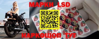 тгк Бийск