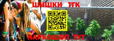 тгк Бийск