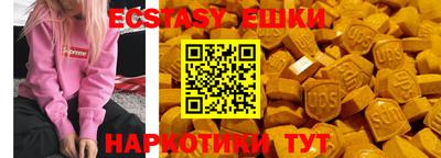 тгк Бийск