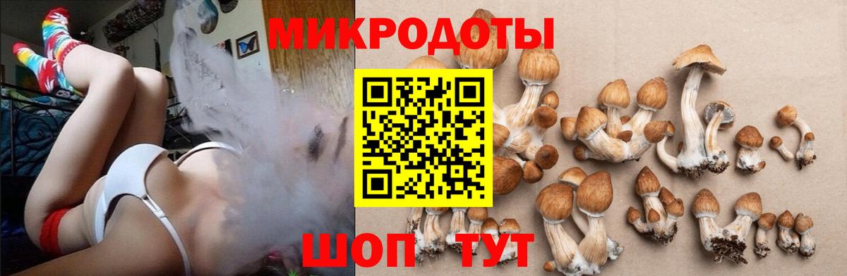 Знаменск  Псилоцибиновые грибы прущие грибы  Галлюциногенные грибы Psilocybine cubensis  Вход с VPN 